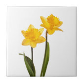 Gelbe Narzissen auf Weiß - Narzissen-Blumen-freier Fliese (Vorderseite)