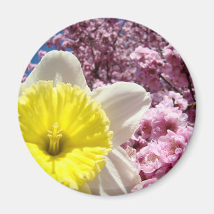 Gelbe Narzissen-Blumen-Magnet Pinke Baumblüten Magnet
