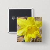 Gelbe Narzissen-Blumen-quadratisches Button (Vorne & Hinten)