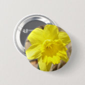 Gelbe Narzissen-Blumen-runder Knopf Button (Vorne & Hinten)