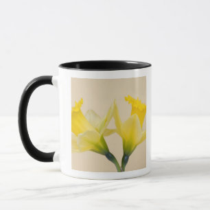 Gelbe Narzissen Tasse