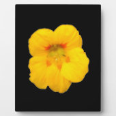 Gelbe Nasturtium Plaque Fotoplatte (Vorderseite)
