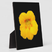 Gelbe Nasturtium Plaque Fotoplatte (Seite)