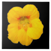 Gelbe Nasturtiumplatte Fliese (Vorderseite)