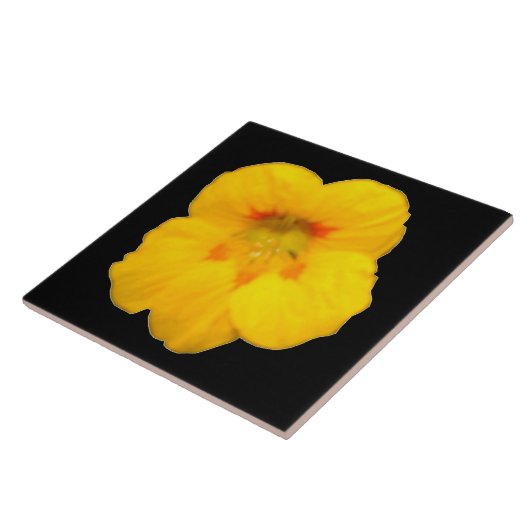 Gelbe Nasturtiumplatte Fliese (Seite)