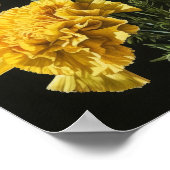 Gelbe Nelken Blume Art Print Poster (Ecke)