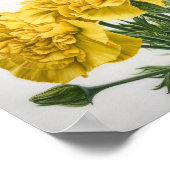 Gelbe Nelken Blume Art Print Poster (Ecke)