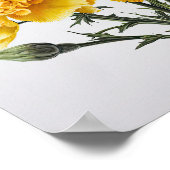 Gelbe Nelken Blume Art Print Poster (Ecke)