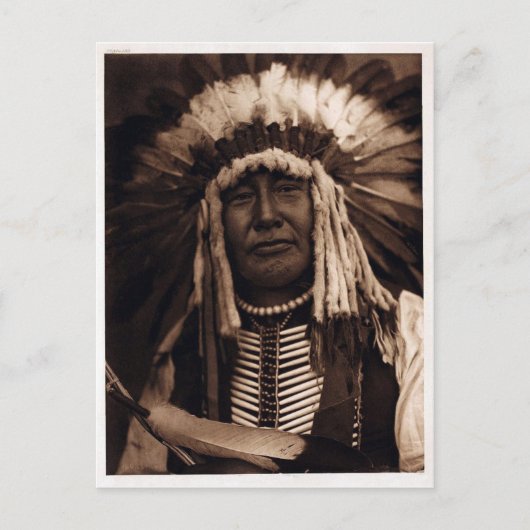 Gelbe Ochse Postkarte (Vorderseite)