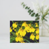 Gelbe Oncidium-Blume Postkarte (Stehend Vorderseite)