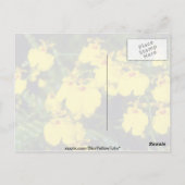 Gelbe Oncidium-Blume Postkarte (Rückseite)