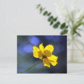 Gelbe Orange Coreopsis Postkarte (Stehend Vorderseite)