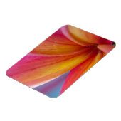 Gelbe Orange Deep Pink Tropische Plumeria Blume Magnet (Linke Seite)