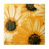 Gelbe/orange Gänseblümchen - Keramik-Fliese Fliese (Vorderseite)