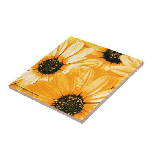 Gelbe/orange Gänseblümchen - Keramik-Fliese Fliese (Seite)