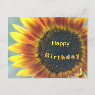 Gelbe Orange Sonnenblume Alles Gute zum Geburtstag Postkarte