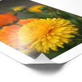 Gelbe Orangen Fotodruck (Ecke)