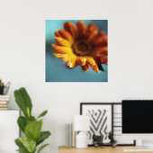 Gelbe Orangenmarigold-Blume lässt Makro fallen Poster (Heimbüro)