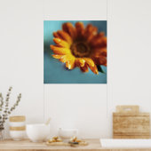 Gelbe Orangenmarigold-Blume lässt Makro fallen Poster (Küche)