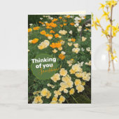 Gelbe Orangenpolster-Blume Karte (Gelbe Blume)