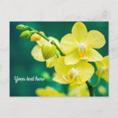 Gelbe Orchidee auf grüner Postkarte (Vorderseite)
