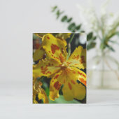 Gelbe Orchidee aus Vero Beach Postkarte (Stehend Vorderseite)