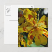 Gelbe Orchidee aus Vero Beach Postkarte (Vorne/Hinten)