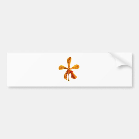 Gelbe Orchidee Autoaufkleber (Vorne)