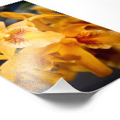 Gelbe Orchidee Blume Blühende Pflanze Fotodruck (Ecke)