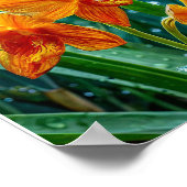 Gelbe Orchidee-Blume Poster (Ecke)