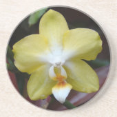 Gelbe Orchidee Getränkeuntersetzer (Vorne)