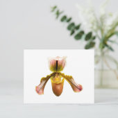 Gelbe Orchidee Postkarte (Stehend Vorderseite)