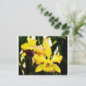 Gelbe Orchidee Postkarte (Stehend Vorderseite)