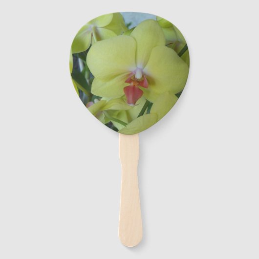 Gelbe Orchideen auf einer Hand: Lüfter Fächer (Vorderseite)