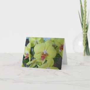 Gelbe Orchideen auf einer Notizkarte Karte