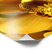 Gelbe Orchideen-Blume Fotodruck (Ecke)