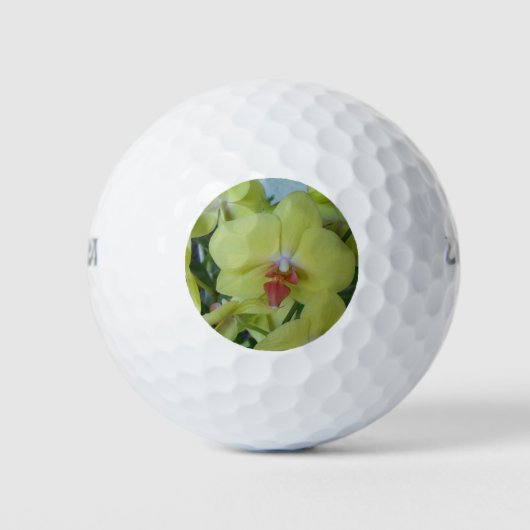 Gelbe Orchideen Golfball (Vorderseite)