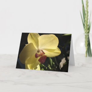 Gelbe Orchideen Grußkarte mit leerem Innenraum Karte