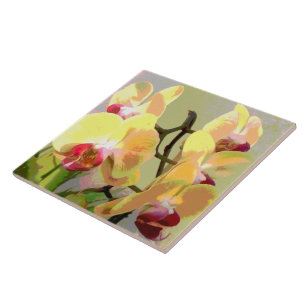 Gelbe Orchideen in der Nachmittagssonne Fliese