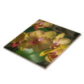 Gelbe Orchideen-Keramikfliese Fliese (Seite)