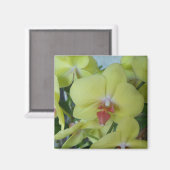 Gelbe Orchideen Magnet (Vorderseite/Rückseite)