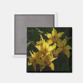 Gelbe Orchideen Magnet (Vorderseite/Rückseite)