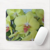 Gelbe Orchideen Mousepad (Mit Mouse)