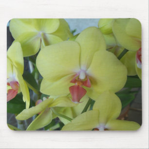 Gelbe Orchideen Mousepad