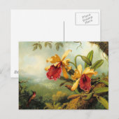 Gelbe Orchideen Postkarte (Vorne/Hinten)