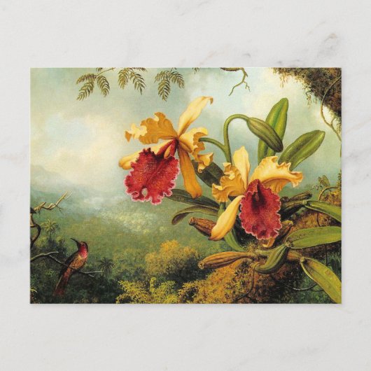 Gelbe Orchideen Postkarte (Vorderseite)