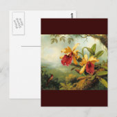 Gelbe Orchideen Postkarte (Vorne/Hinten)