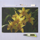 Gelbe Orchideen Seidenpapier (Handwerk)