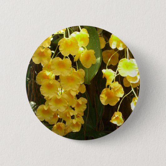 Gelbe Orchideen - tropische Blume Button (Vorderseite)