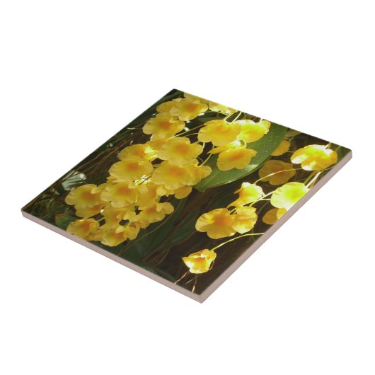 Gelbe Orchideen - tropische Blume Fliese (Seite)